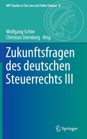 Könyv Zukunftsfragen Des Deutschen Steuerrechts III Wolfgang Schön