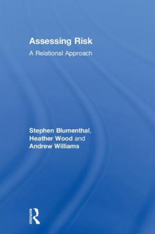 Kniha Assessing Risk Stephen Blumenthal