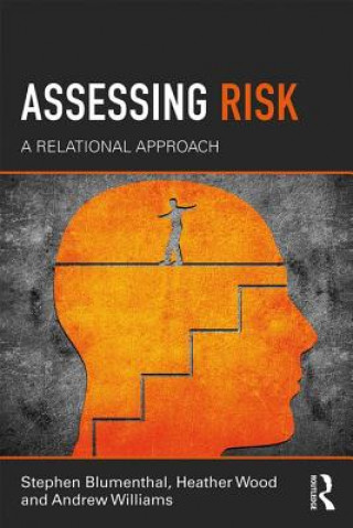 Книга Assessing Risk Stephen Blumenthal