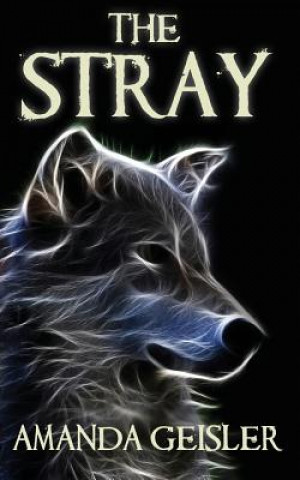 Book Stray AMANDA GEISLER