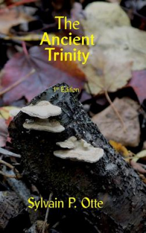 Knjiga Ancient Trinity SYLVAIN P OTTO