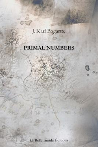 Buch Primal Numbers J. Karl Bogartte