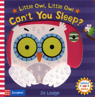 Carte Little Owl, Little Owl Can't You Sleep? Jo Lodge
