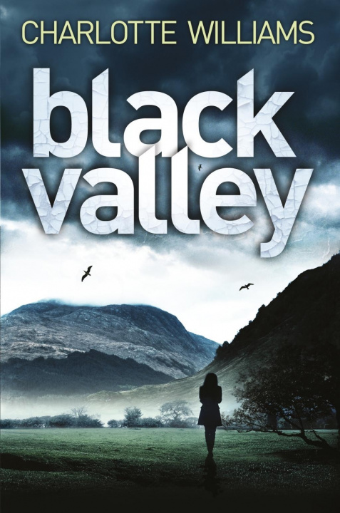 Buch Black Valley Charlotte Williams