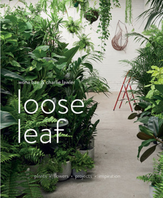 Kniha Loose Leaf BAE  WONA