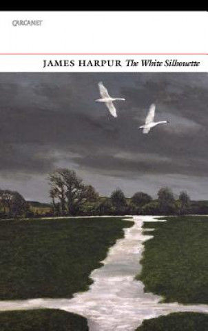 Kniha White Silhouette James Harpur