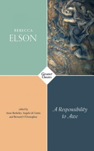 Kniha Responsibility to Awe Rebecca Elson