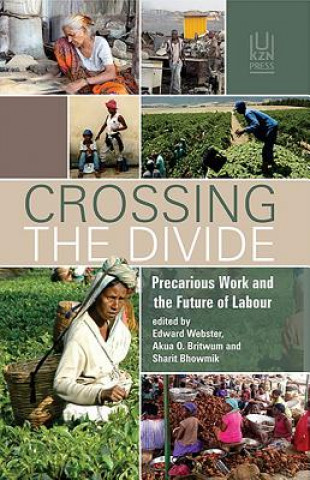 Knjiga Crossing the divide Edward Webster