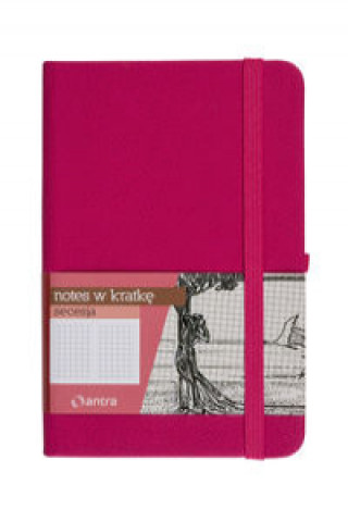 Carte Notes A7 z gumką Secesja kratka różowy 