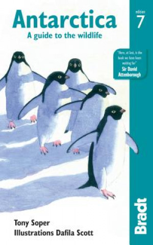 Kniha Antarctica Tony Soper