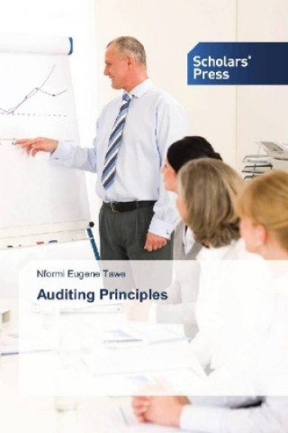 Boek Auditing Principles Nformi Eugene Tawe