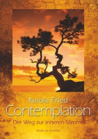 Kniha Contemplation Karola Fried