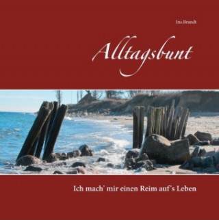 Kniha Alltagsbunt Ina Brandt