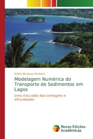 Книга Modelagem Numerica do Transporte de Sedimentos em Lagos Stênio de Sousa Venâncio