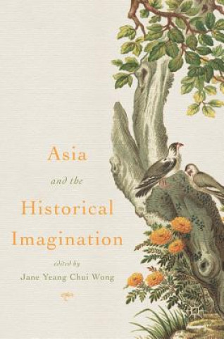 Könyv Asia and the Historical Imagination Jane Yeang Chui Wong