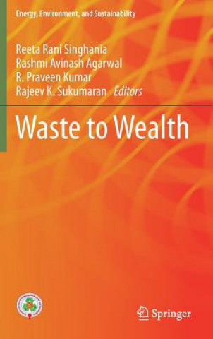 Könyv Waste to Wealth Reeta Rani Singhania