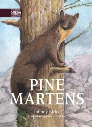 Kniha Pine Martens Johnny Birks