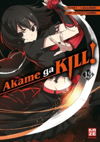 Könyv Akame ga KILL! 13 Takahiro
