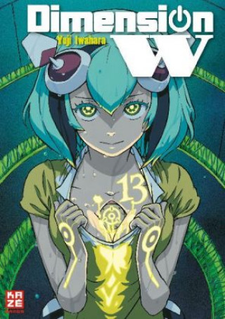 Book Dimension W 13 Yuji Iwahara