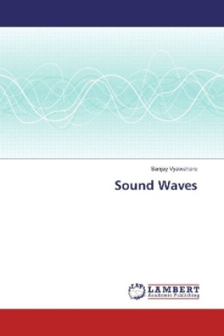 Buch Sound Waves Sanjay Vyawahare