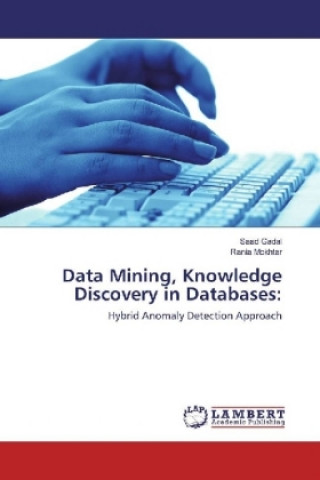 Kniha Data Mining, Knowledge Discovery in Databases: Saad Gadal
