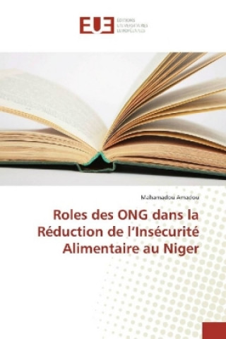 Book Rôle des ONG Internationales Mahamadou Amadou