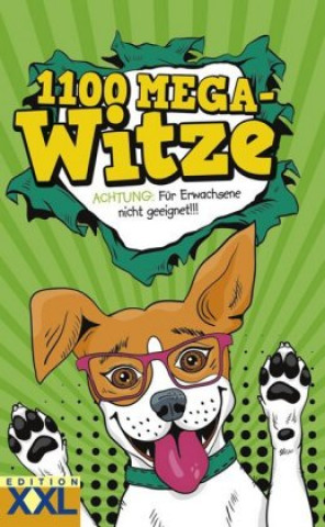 Book 1100 Mega-Witze 