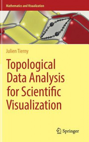 Book Topological Data Analysis for Scientific Visualization Julien Tierny