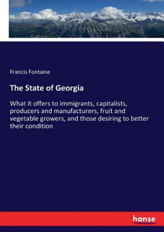 Carte State of Georgia FRANCIS FONTAINE