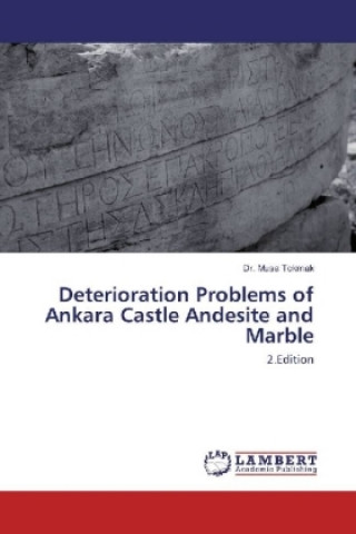 Kniha Deterioration Problems of Ankara Castle Andesite and Marble Musa Tokmak