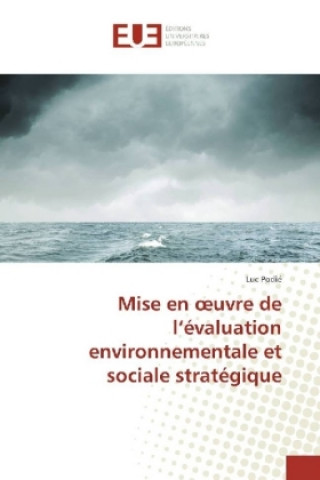 Carte Mise en oeuvre de l'évaluation environnementale et sociale stratégique Luc Podié