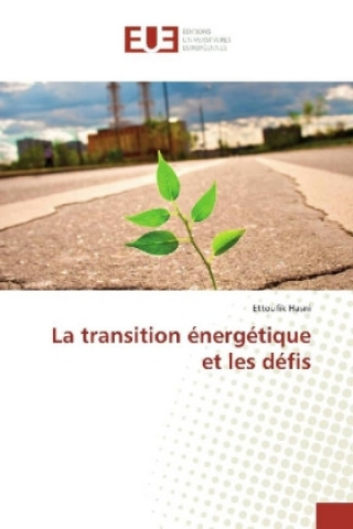 Livre La transition énergétique et les défis Ettoufik Hasni