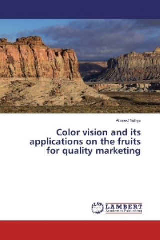 Kniha Color vision and its applications on the fruits for quality marketing Ahmed Yahya