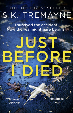 Книга Just Before I Died S. K. Tremayne