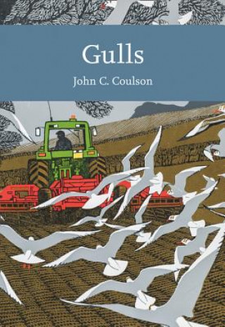 Buch Gulls Professor John C. Coulson