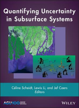 Knjiga Quantifying Uncertainty in Subsurface Systems Jef Caers