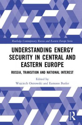 Kniha Understanding Energy Security in Central and Eastern Europe 