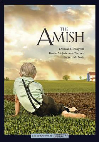 Kniha Amish Donald B. Kraybill
