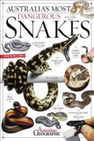 Kniha Australia's Most Dangerous: Snakes CRAIG LEWIS