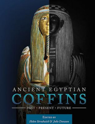 Kniha Ancient Egyptian Coffins Julie Dawson