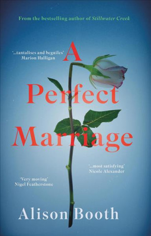 Kniha Perfect Marriage Alison Booth