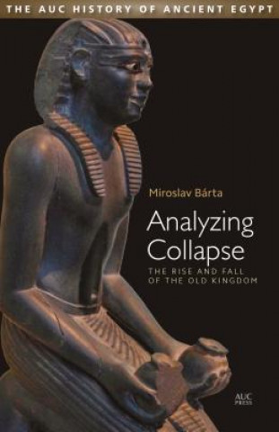 Kniha Analyzing Collapse Miroslav Barta