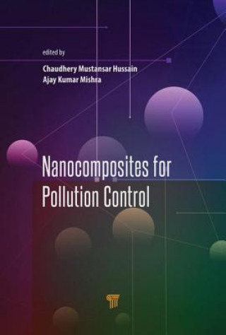 Libro Nanocomposites for Pollution Control Chaudhery Mustansar Hussain