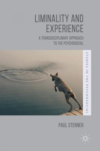 Knjiga Liminality and Experience Paul Stenner