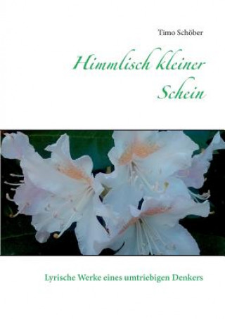 Buch Himmlisch kleiner Schein Timo Schöber