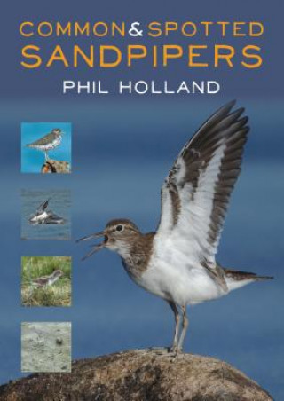 Kniha Common and Spotted Sandpipers Phil Holland