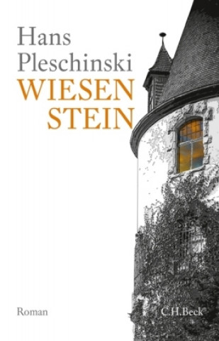Kniha Wiesenstein Hans Pleschinski