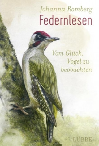 Kniha Federnlesen Johanna Romberg
