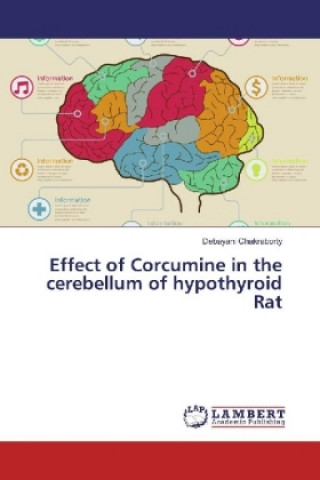 Kniha Effect of Corcumine in the cerebellum of hypothyroid Rat Debayani Chakraborty