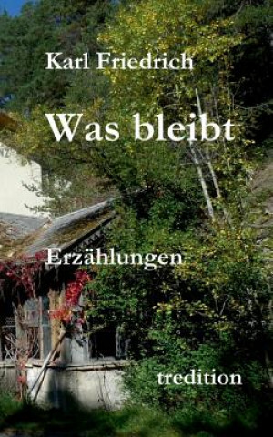 Book Was bleibt Magnus Karl Friedrich Schleich